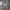 https://res.cloudinary.com/billionhands/image/upload/v1770828160/items/qrdggqc5al2oxhgoev8v.jpg-2cover
