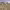 https://res.cloudinary.com/billionhands/image/upload/v1770828172/items/mjs1jfc4gzcamm9shfvs.jpg-2cover