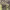 https://res.cloudinary.com/billionhands/image/upload/v1770828207/items/n3q9d4cd0h7yb7fxk2qm.jpg-3cover