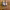 https://res.cloudinary.com/billionhands/image/upload/v1770828219/items/lrxpd11plxgq9avjseiv.jpg-3cover