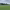 O Ceao Football Field (Lugo) cover
