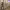 https://res.cloudinary.com/billionhands/image/upload/v1770828226/items/nyy3ju1tws4rsj2facpj.jpg-0cover