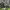 https://res.cloudinary.com/billionhands/image/upload/v1770828227/items/en9t5nhl7t4i4twzduwx.webp-2cover