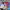 https://res.cloudinary.com/billionhands/image/upload/v1770828229/items/nhvicznxeeximror9ja3.jpg-0cover