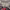 https://res.cloudinary.com/billionhands/image/upload/v1770828230/items/jw5s7zq132nfyicyxtyo.jpg-1cover