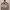 https://res.cloudinary.com/billionhands/image/upload/v1770828323/items/tpxir77mshpcheigrscx.webp-0cover