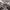 https://res.cloudinary.com/billionhands/image/upload/v1770828377/items/nyvguyzqgexoclfxup6d.jpg-2cover