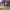 https://res.cloudinary.com/billionhands/image/upload/v1770828462/items/kqmv0rynmlswl9ff04mp.jpg-1cover