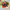 https://res.cloudinary.com/billionhands/image/upload/v1770828465/items/jpdrniybkgxj2vpfv0s7.jpg-1cover