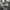 https://res.cloudinary.com/billionhands/image/upload/v1770828466/items/deq9tbhwrypxjda6ncyu.jpg-1cover