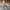 https://res.cloudinary.com/billionhands/image/upload/v1770828534/items/t1dvedjlydeyedjwxto4.jpg-0cover