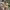https://res.cloudinary.com/billionhands/image/upload/v1770828539/items/pslipfmy5xhqukjf4pof.jpg-1cover