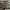 https://res.cloudinary.com/billionhands/image/upload/v1770828554/items/tfbpqr0dp43vmhumgota.jpg-3cover