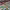 https://res.cloudinary.com/billionhands/image/upload/v1770828631/items/qontbtl3khdggxgimmzq.png-3cover