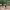 https://res.cloudinary.com/billionhands/image/upload/v1770828646/items/gwmgonppkedgrhjgfot4.jpg-2cover