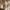 https://res.cloudinary.com/billionhands/image/upload/v1770828733/items/zznakm3eeyyg6rvkb8yt.jpg-3cover