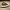 https://res.cloudinary.com/billionhands/image/upload/v1770828751/items/hogai9lzr8rdopa2wcj0.jpg-1cover
