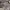 https://res.cloudinary.com/billionhands/image/upload/v1770828755/items/cbgylnvwdgtnorhsit6t.jpg-0cover