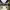 https://res.cloudinary.com/billionhands/image/upload/v1770828780/items/ftnmrdja5jeaptu2ikll.jpg-2cover