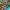 https://res.cloudinary.com/billionhands/image/upload/v1770828919/items/igk5kaccjbl8euddsmss.jpg-2cover