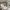 https://res.cloudinary.com/billionhands/image/upload/v1770829095/items/vrskyhkpuyygpozfoxzv.jpg-2cover