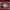 https://res.cloudinary.com/billionhands/image/upload/v1770829137/items/jxfevqytvgbo6j7jfz7t.webp-1cover