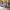 https://res.cloudinary.com/billionhands/image/upload/v1770829175/items/ykghcfuzjo8weonjaifz.webp-0cover