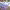 https://res.cloudinary.com/billionhands/image/upload/v1770829182/items/otumihxm3ncrjxwqsoee.jpg-1cover