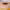 https://res.cloudinary.com/billionhands/image/upload/v1770829186/items/fcdz7iixswe3w2kvpmbe.jpg-0cover
