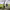 https://res.cloudinary.com/billionhands/image/upload/v1770829191/items/ouu1ak37n1geq1buigvt.jpg-0cover