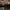 https://res.cloudinary.com/billionhands/image/upload/v1770829258/items/o3hcft6ryjbz82sqsa7l.jpg-2cover
