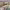 https://res.cloudinary.com/billionhands/image/upload/v1770829282/items/cusxxhcw7dkcgm8ubee1.avif-2cover