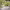 https://res.cloudinary.com/billionhands/image/upload/v1770829301/items/eyfxbeg87ekpmlisbuln.webp-3cover