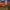 https://res.cloudinary.com/billionhands/image/upload/v1770829304/items/tpzx6tc9pbtmidsv1fsg.jpg-3cover