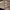 https://res.cloudinary.com/billionhands/image/upload/v1770829309/items/h0joqobrzxdvfpewndpi.jpg-2cover