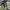 https://res.cloudinary.com/billionhands/image/upload/v1770829335/items/qhsvlbwx8okxwqsvjaka.jpg-0cover