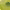 https://res.cloudinary.com/billionhands/image/upload/v1770829345/items/qqquildik9hrrpy5iqmt.jpg-2cover