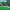 https://res.cloudinary.com/billionhands/image/upload/v1770829354/items/e2ycktfvnynpik2ylke0.jpg-2cover