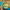 https://res.cloudinary.com/billionhands/image/upload/v1770829401/items/a1xwp720utvo1gduxmtz.webp-0cover