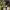 https://res.cloudinary.com/billionhands/image/upload/v1770829402/items/ltewb55ryfk7qpzokvsg.jpg-0cover