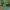 https://res.cloudinary.com/billionhands/image/upload/v1770829411/items/ce8cvfm6cpcmq3eyzkmr.jpg-3cover