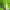 https://res.cloudinary.com/billionhands/image/upload/v1770829414/items/mxyadxgsdexdasqwx8ao.jpg-3cover