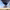 https://res.cloudinary.com/billionhands/image/upload/v1770829487/items/iqur8wvpctkhyqc45qnt.jpg-2cover