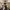 https://res.cloudinary.com/billionhands/image/upload/v1770829606/items/m2cxvs1cjqeogdjdppo5.jpg-3cover