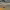 https://res.cloudinary.com/billionhands/image/upload/v1770829636/items/nldg9ky6e5bheutdzewr.jpg-0cover