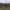 https://res.cloudinary.com/billionhands/image/upload/v1770829637/items/p8uqxdikgqpday8imqxp.jpg-1cover