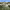 https://res.cloudinary.com/billionhands/image/upload/v1770829643/items/noz49pndoypia5dmjyxv.jpg-2cover