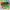 https://res.cloudinary.com/billionhands/image/upload/v1770829679/items/rqfgfgipqadtltljefoj.jpg-0cover