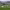 Rioja Alta Golf Club (Cirueña, La Rioja Alta) cover