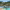 https://res.cloudinary.com/billionhands/image/upload/v1770829707/items/gwbqlzbx0fpg6znrogem.jpg-0cover